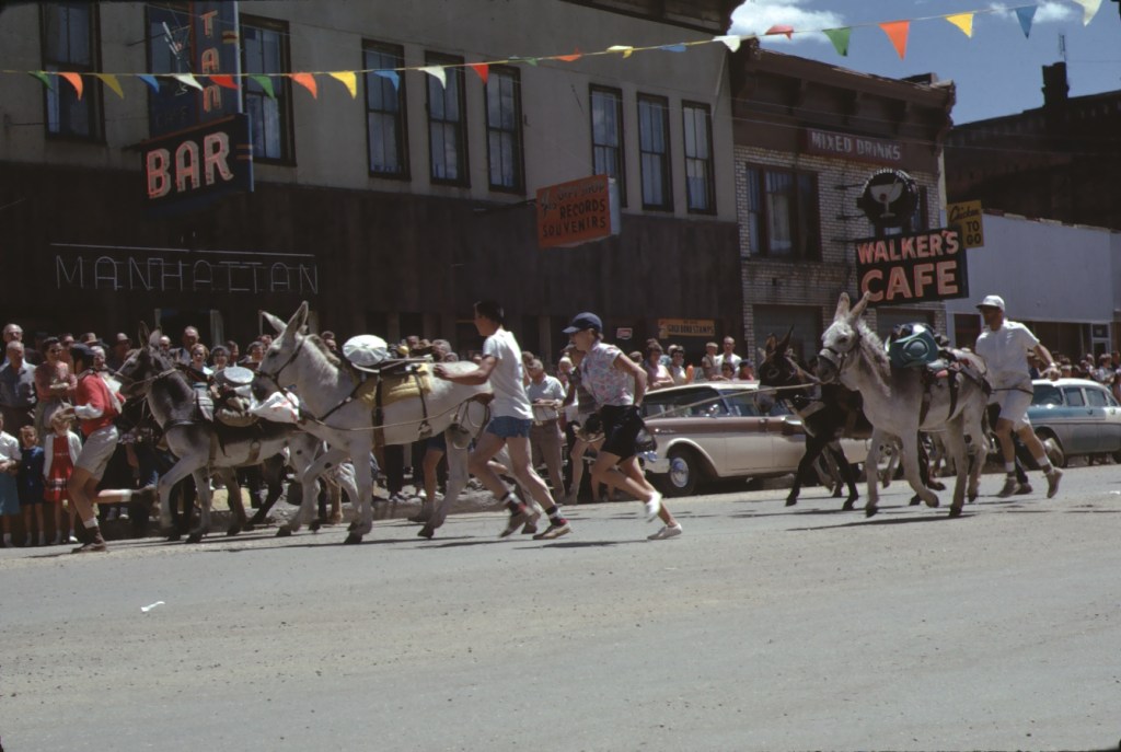Several humans and burros begin the burro race in Leadville Colorado